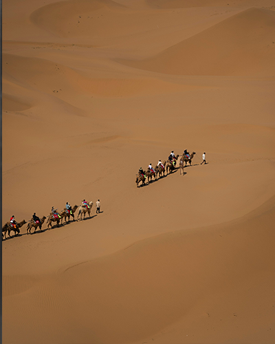 Image is not available